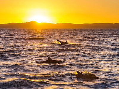 ù�¨��i��