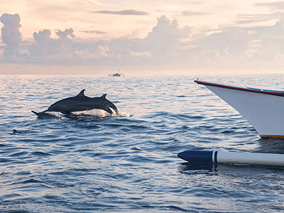 ù�¨����b