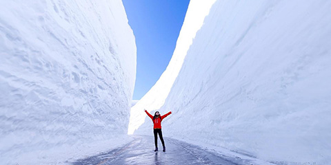 �����j��