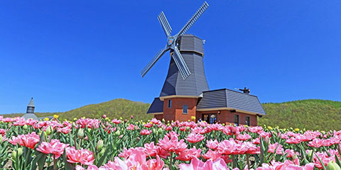 �W��O�{����