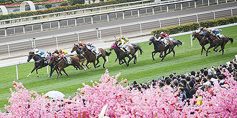 �����ɰ�