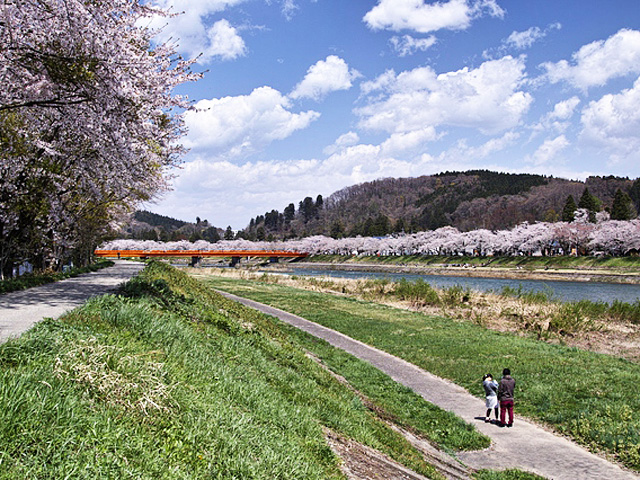檜木內川堤